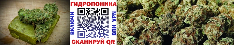 omg онион  что такое   дарк нет состав  Печенье с ТГК конопля  Камень-на-Оби 