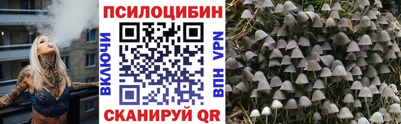 KRAKEN онион  что такое   Камень-на-Оби  Псилоцибиновые грибы Cubensis 